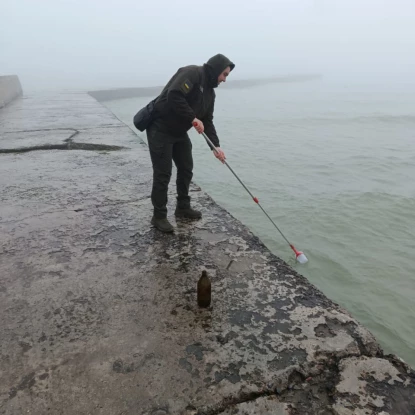 На одеських пляжах знайшли загиблих морських коників. Фото: Держекоінспекція