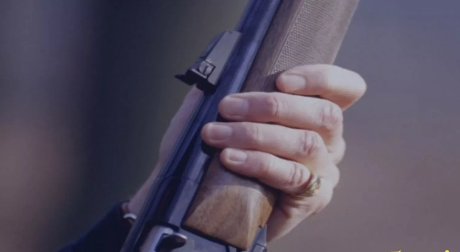 Рушниця. Фото з відкритих джерел.