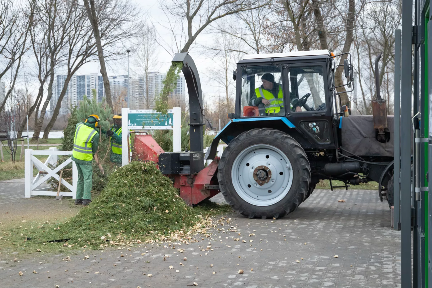 Пункт прийому ялинок в Києві, фото: Київська міська рада