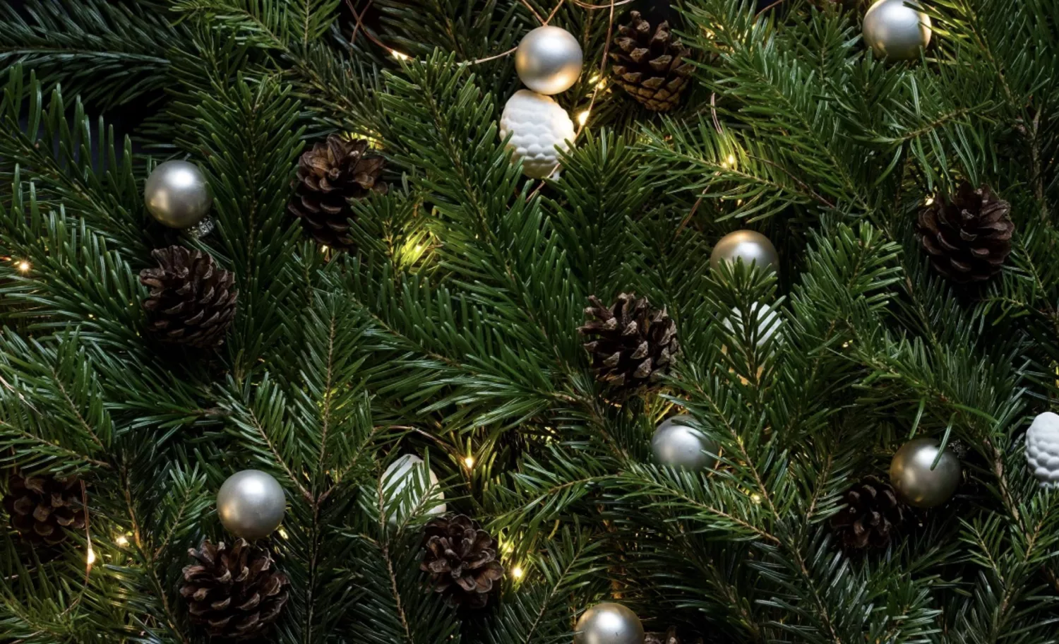 Фото ілюстраційне Foto: Pxhere/domena publiczna CC0 Domena publiczna