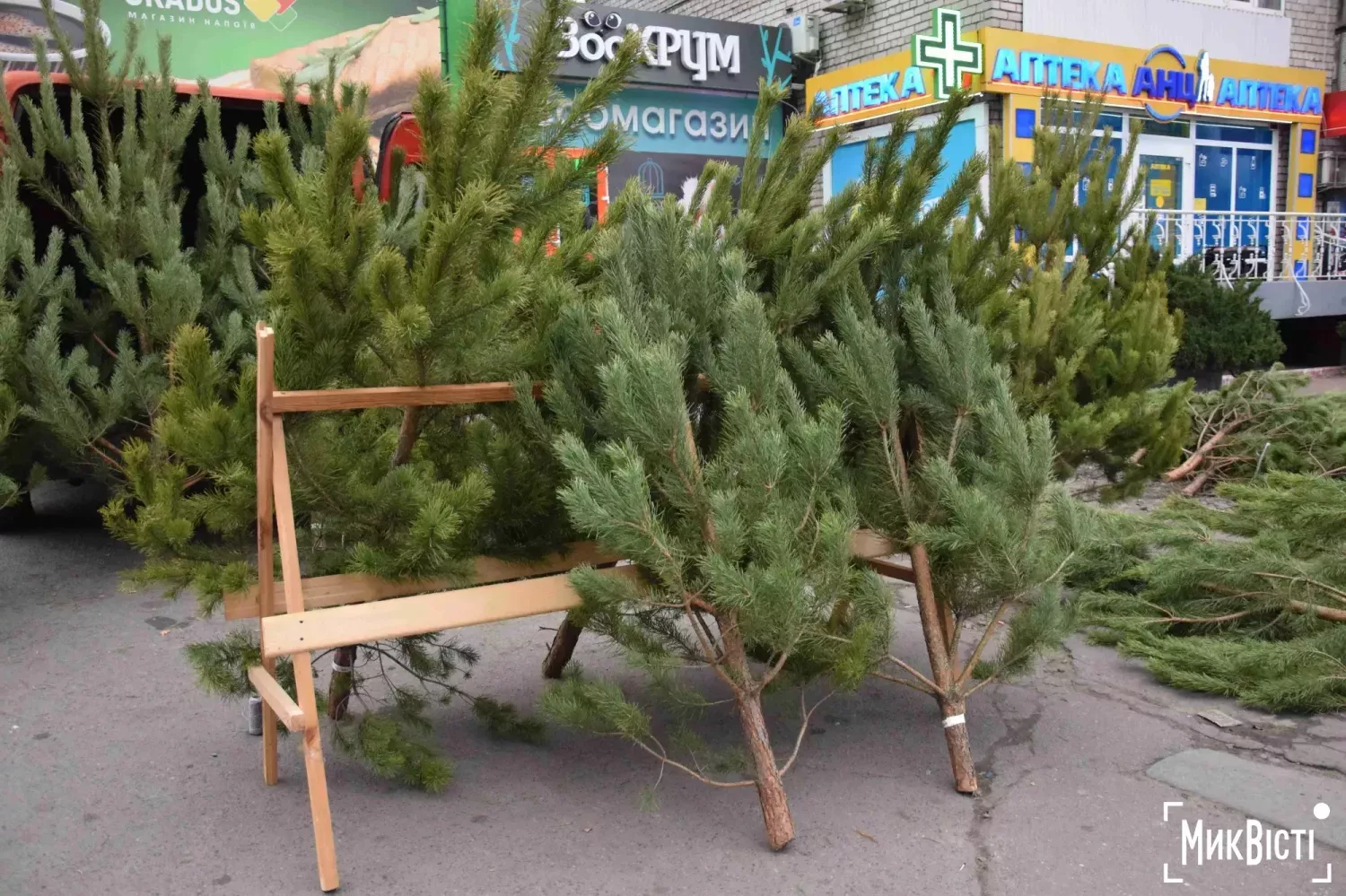 Комунальне підприємство «Миколаївські парки» не приймає у містян новорічні ялинки після свят для переробки або утилізації. Фото: НикВести