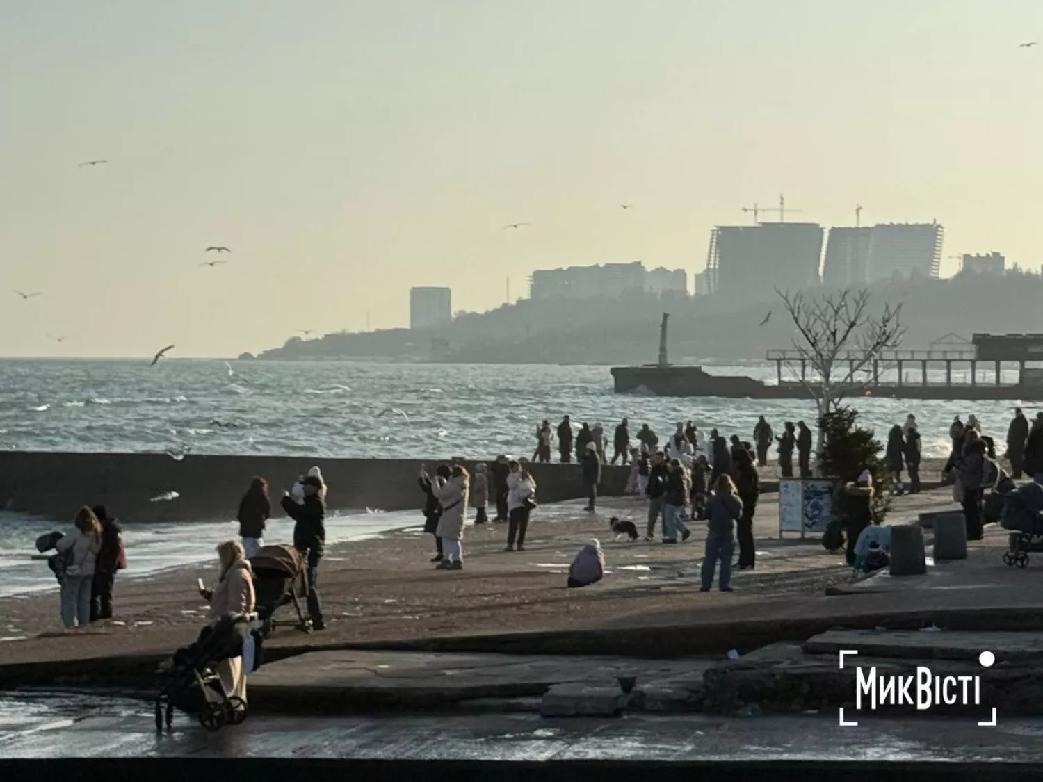 Як пройшли традиційні купання на Водохреща в Одесі. Фото: НикВести