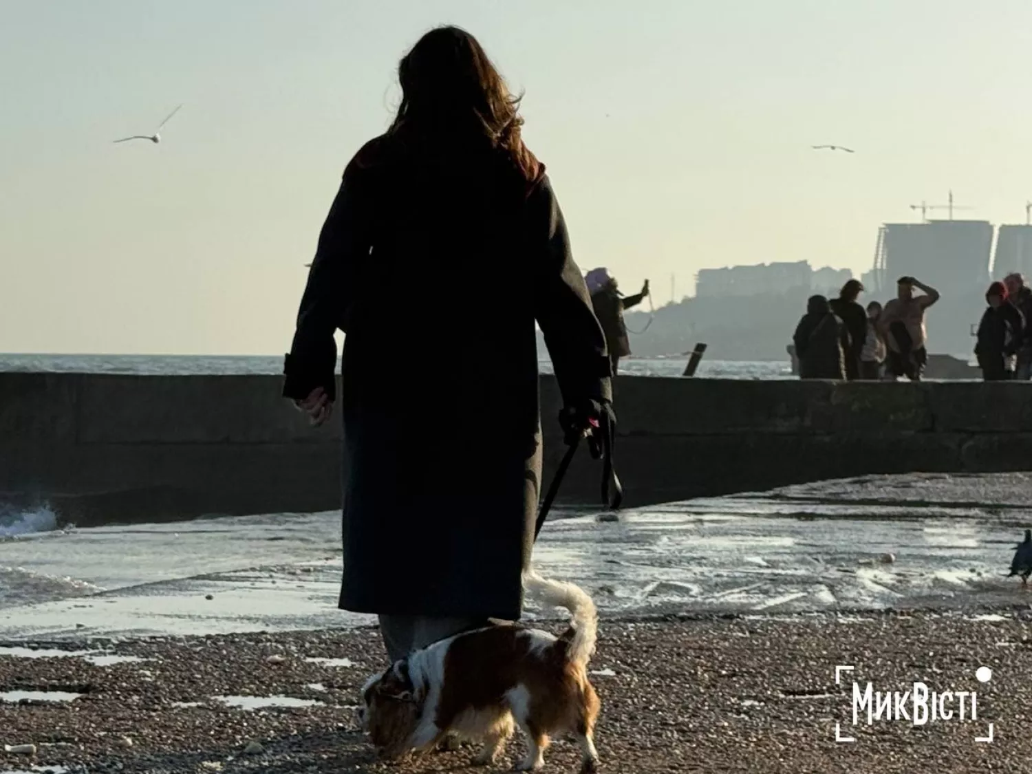 Як пройшли традиційні купання на Водохреща в Одесі. Фото: НикВести