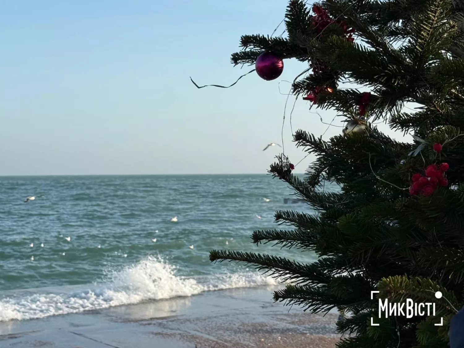 Як пройшли традиційні купання на Водохреща в Одесі. Фото: НикВести