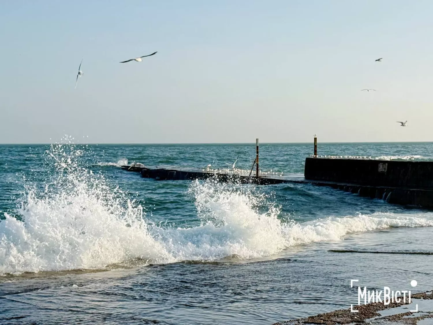 Як пройшли традиційні купання на Водохреща в Одесі. Фото: НикВести