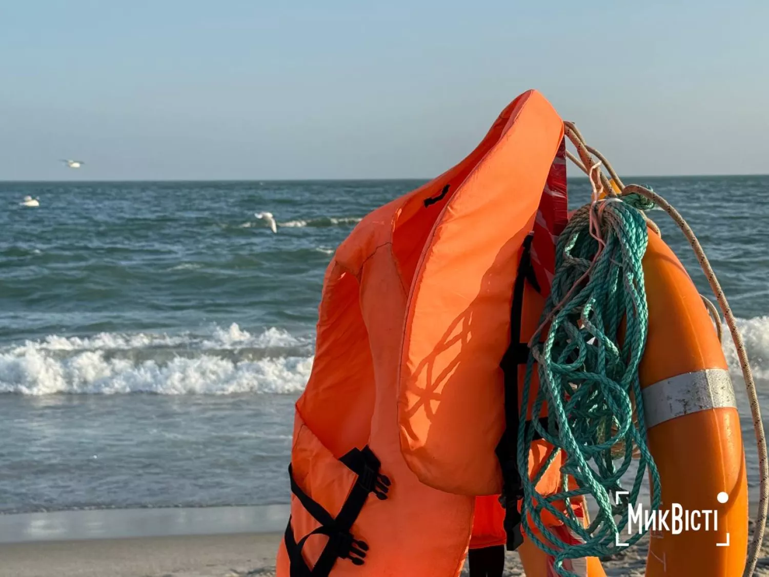 Як пройшли традиційні купання на Водохреща в Одесі. Фото: НикВести
