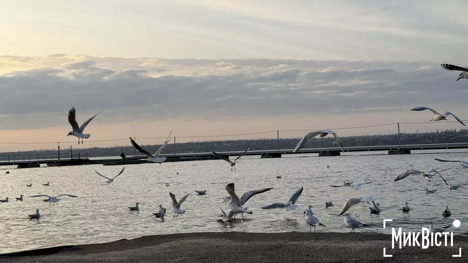 У Миколаївській області завтра буде сильний вітер, ілюстративне фото: НикВести