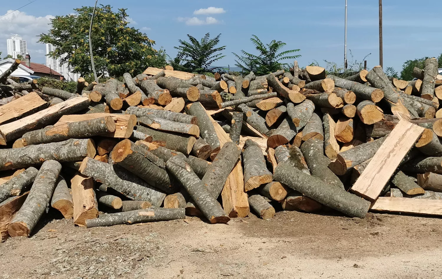 Деревина. Ілюстративне фото: Sloboden Pechat