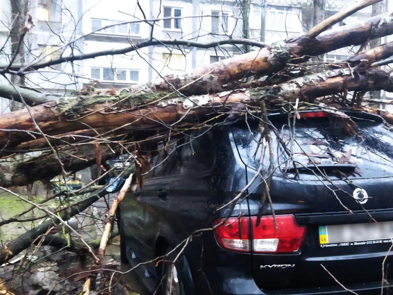У Миколаєві через негоду аварійні дерева впали на припарковані автомобілі. Фото: читачі НикВести