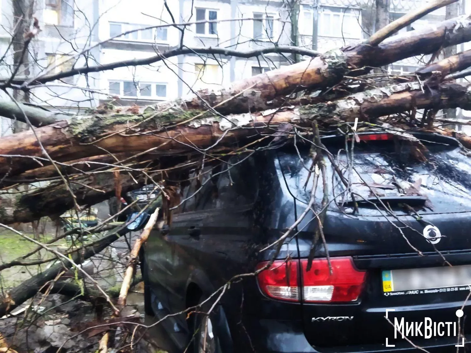 У Миколаєві через негоду аварійні дерева впали на припарковані автомобілі. Фото: читачі МикВісті