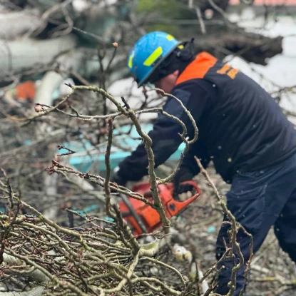 У Миколаєві через негоду впали дерева, фото: управління з питань надзвичайних ситуацій та цивільного захисту населення Миколаївської міської ради