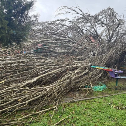 У Миколаєві через негоду впали дерева, фото: управління з питань надзвичайних ситуацій та цивільного захисту населення Миколаївської міської ради