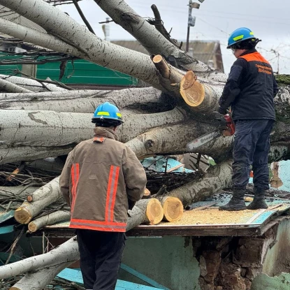 У Миколаєві через негоду впали дерева, фото: управління з питань надзвичайних ситуацій та цивільного захисту населення Миколаївської міської ради