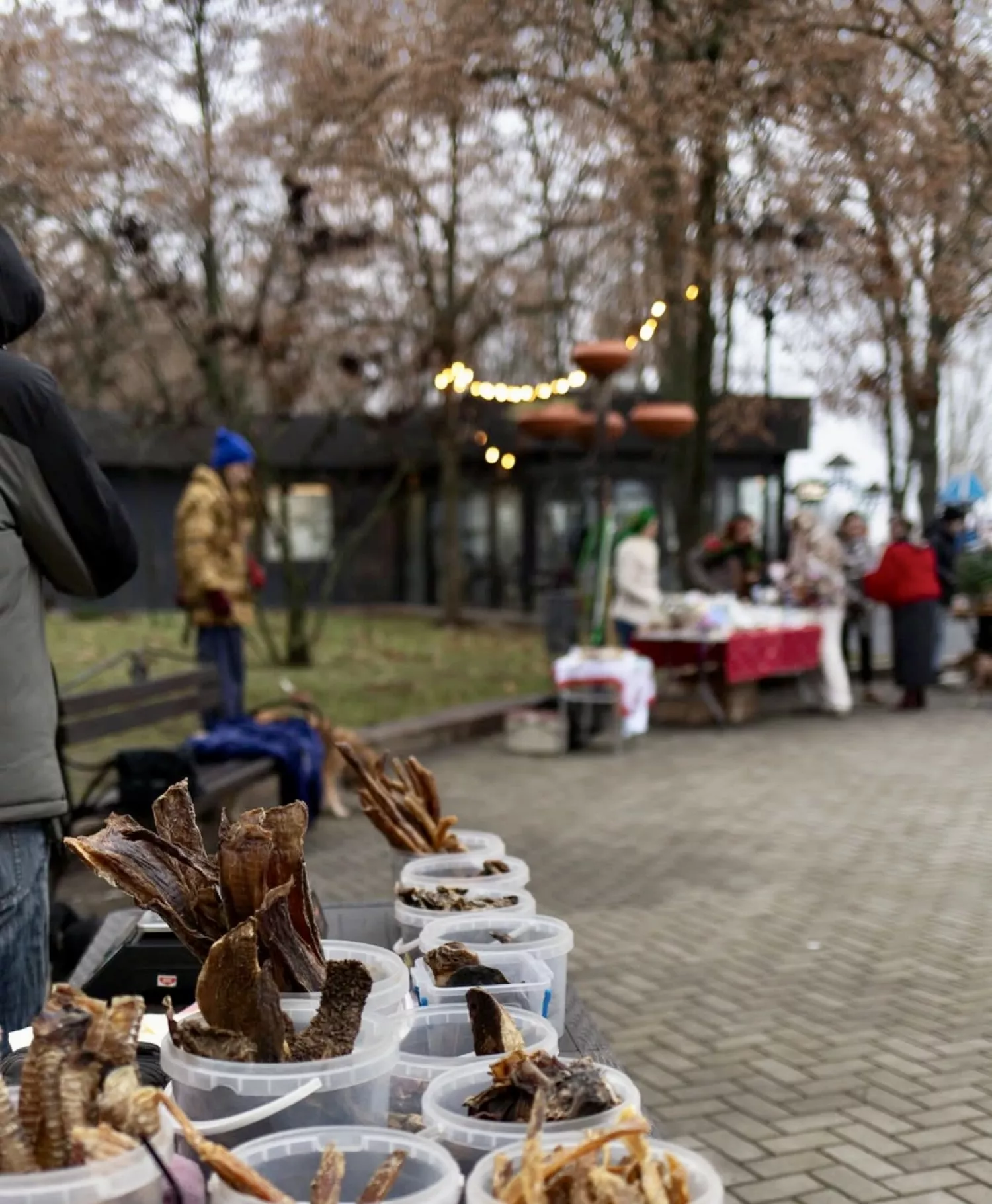 Виставку-прилаштування собак із Чорнобаївки проведуть на Верхньому БАМі 17 січня. Фото: Друзі поруч