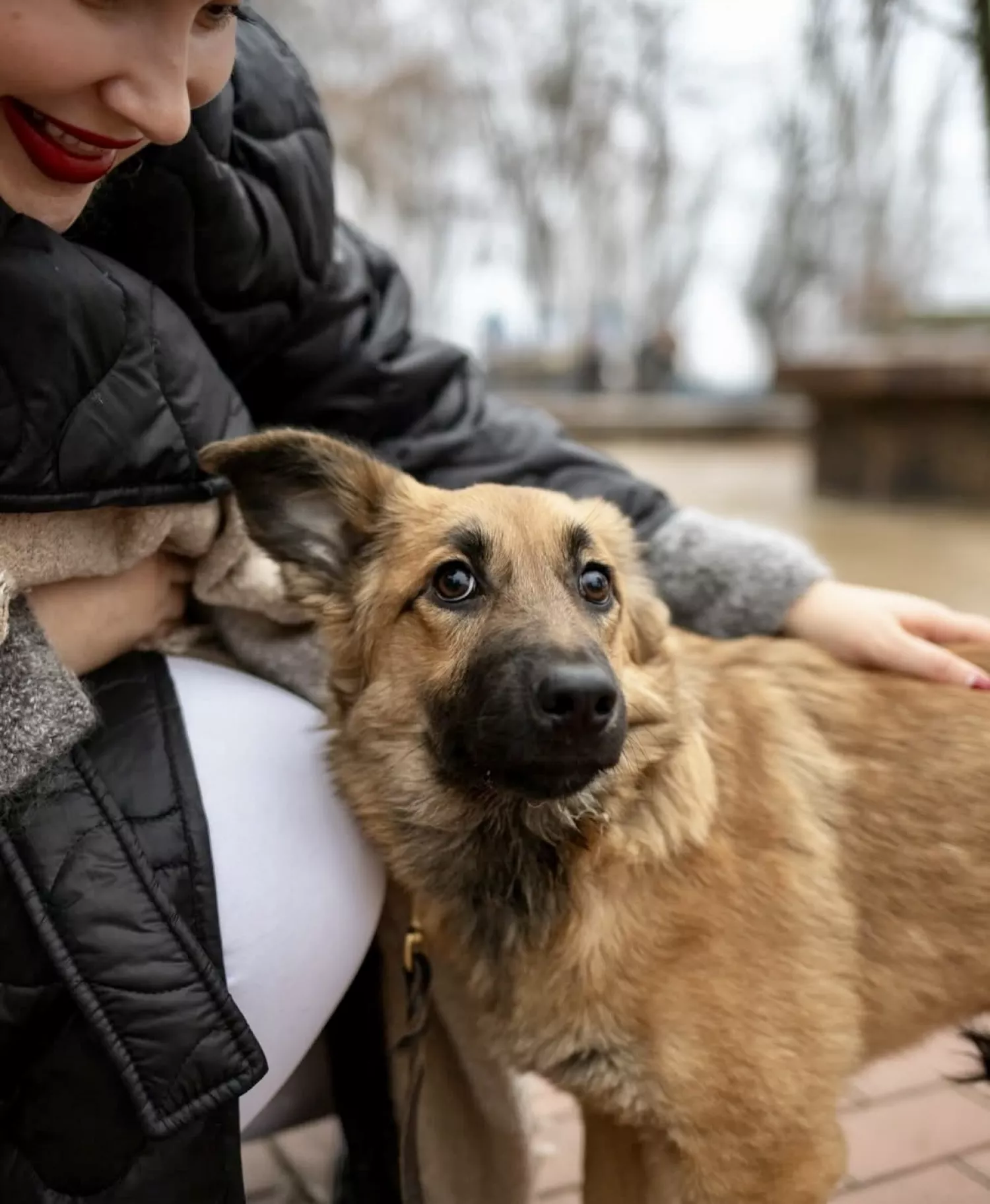 Виставку-прилаштування собак із Чорнобаївки проведуть на Верхньому БАМі 17 січня. Фото: Друзі поруч