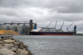 Естонія заборонила транзит російського та білоруського зерна. Фото: ua.news