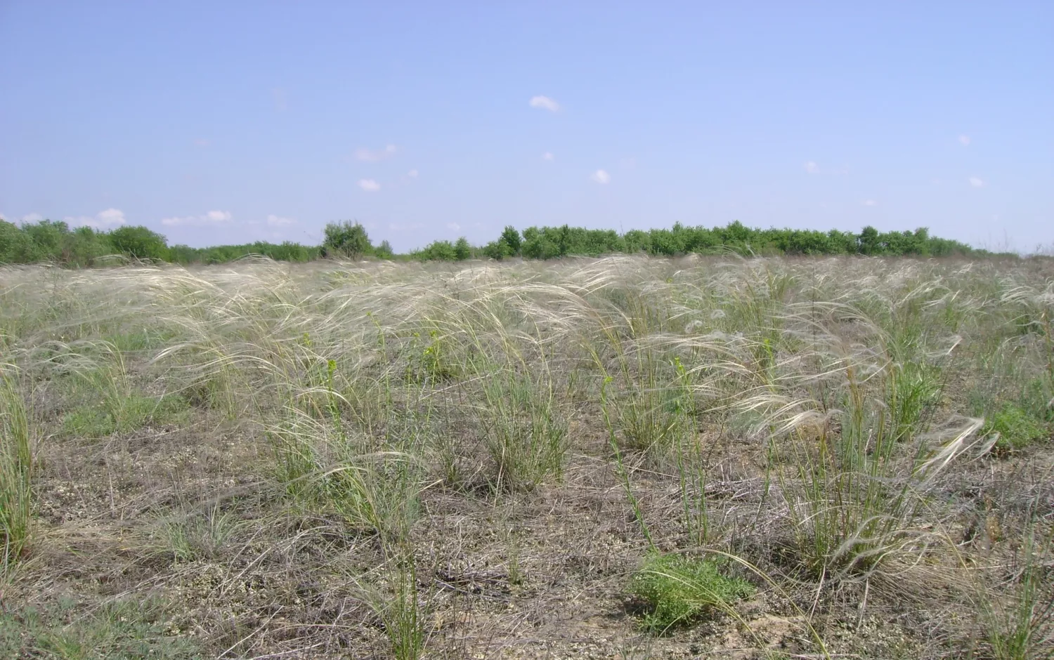 У Миколаївській області природоохоронні території займають 3,19% площі регіону.Фото: Чорноморський біосферний заповідник НАН України