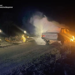 Ліквідація пожежі у Миколаївській області. Фото: ДСНС