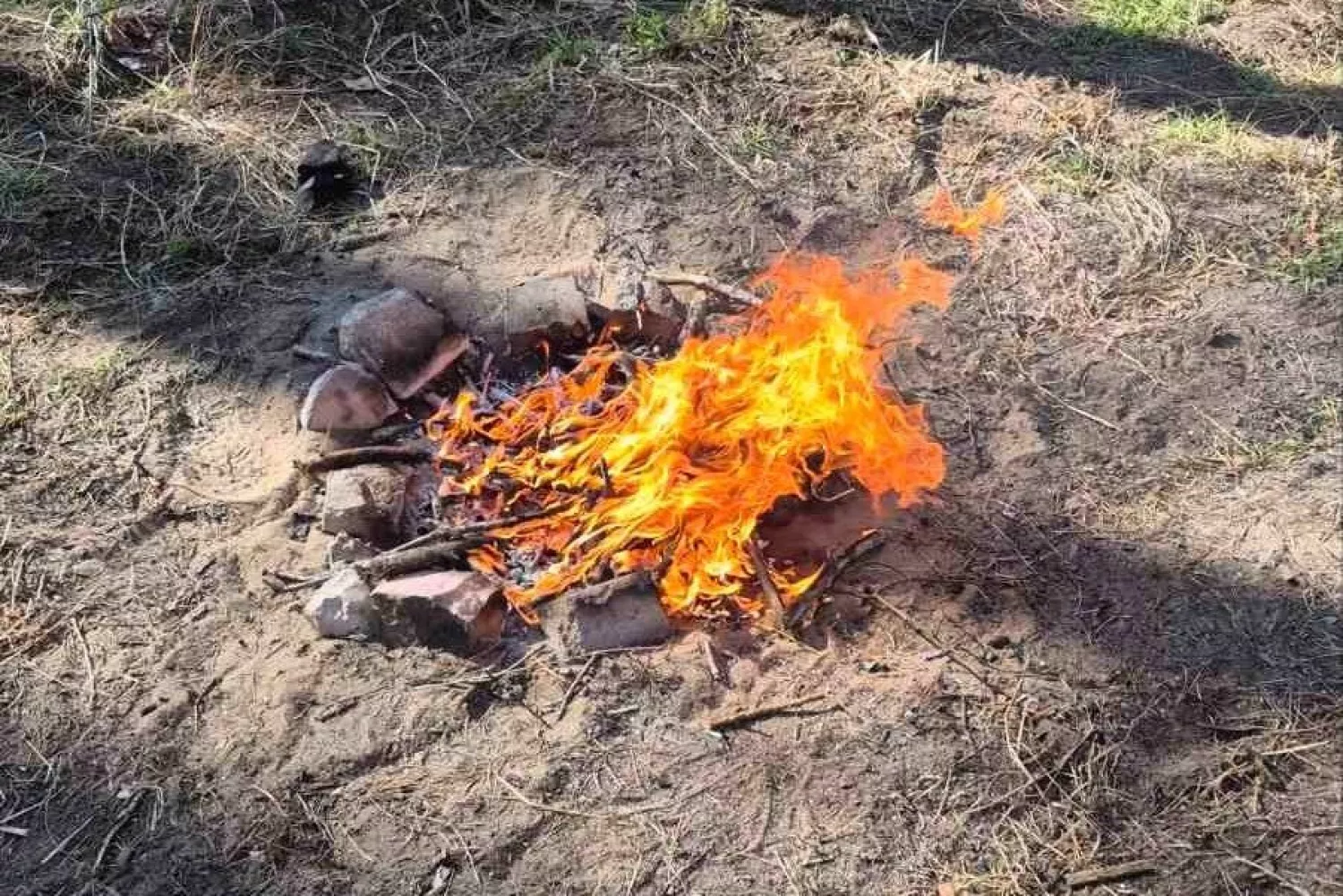 На Миколаївщині під час рейду в лісах виявили порушення пожежних правил. Фото: Держекоінспекція