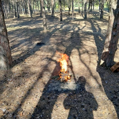 На Миколаївщині під час рейду в лісах виявили порушення пожежних правил. Фото: Держекоінспекція