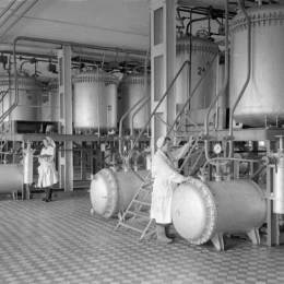 Миколаїв у 1957 році. Фото з фондів Центрального державного аудіовізуального та електронного архіву
