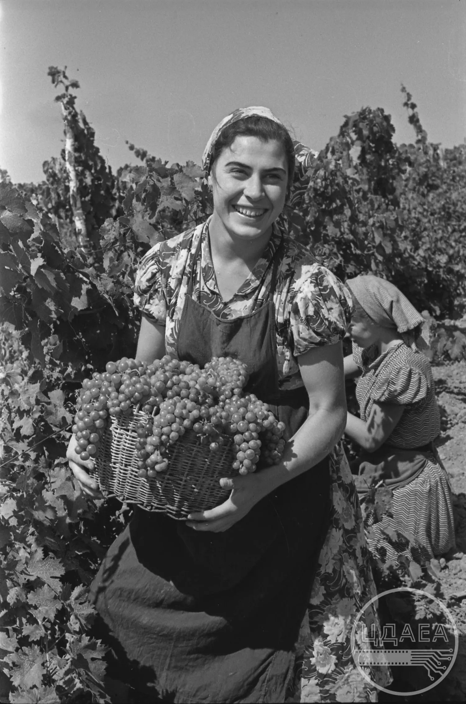 Історія Миколаївщини у світлинах 1950-х років. Фото Центрального державного аудіовізуального та електронного архіву