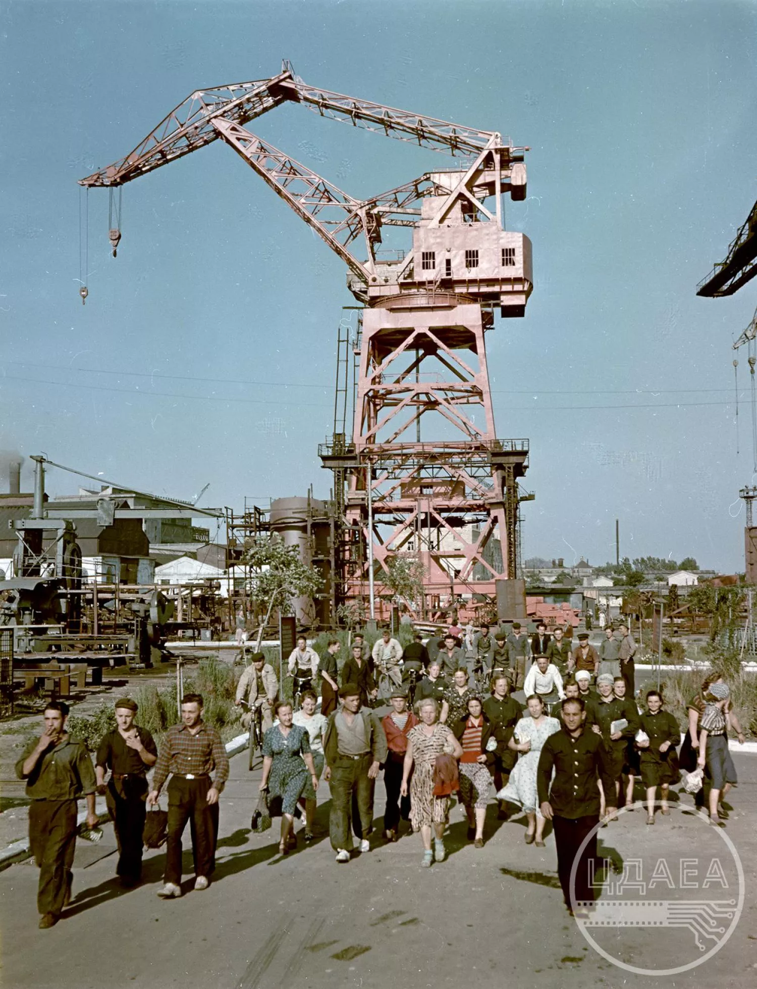 Історія Миколаївщини у світлинах 1950-х років. Фото Центрального державного аудіовізуального та електронного архіву