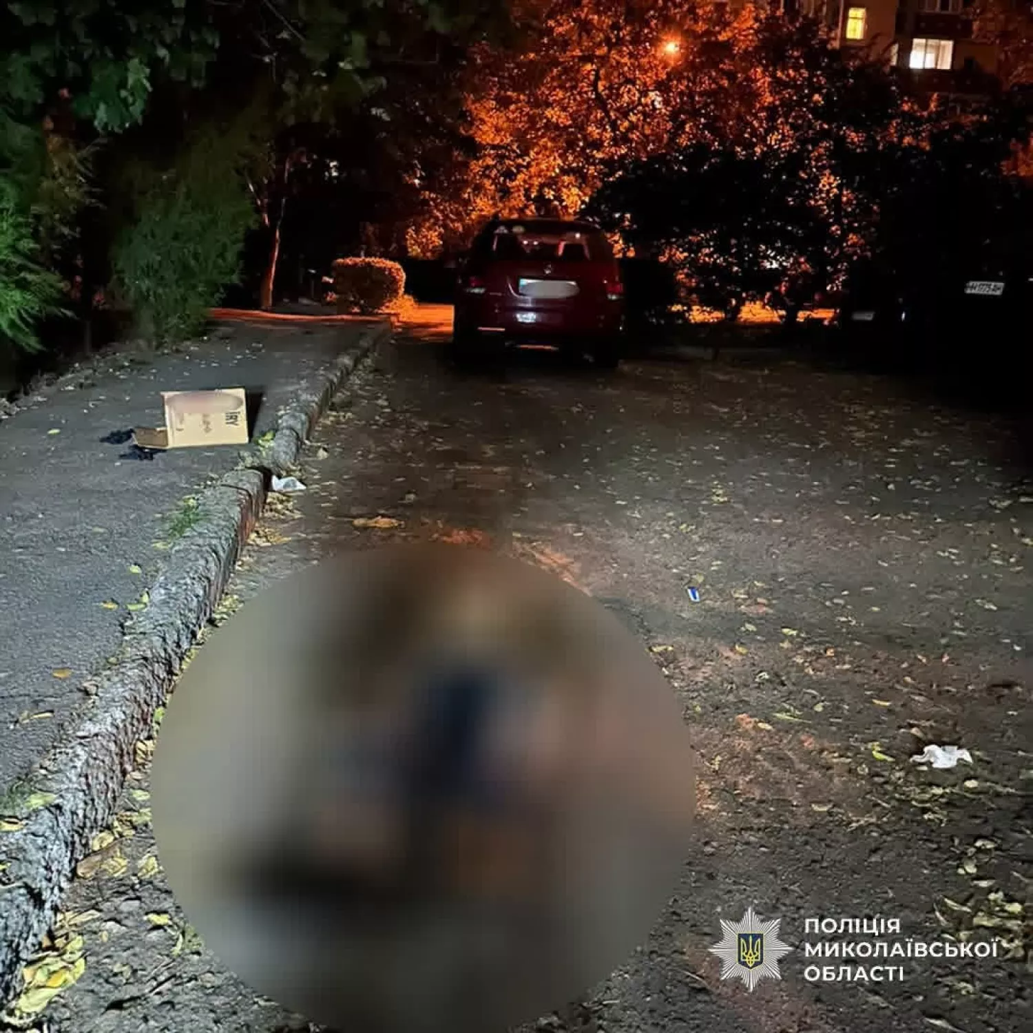У Миколаєві водійка наїхала на пішохода. Фото: Нацполіція