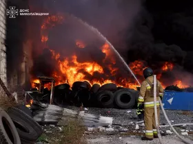 На Миколаївщині збитки довкіллю від пожеж після обстрілів оцінили у понад ₴4 млн. Ілюстративне фото: ДСНС