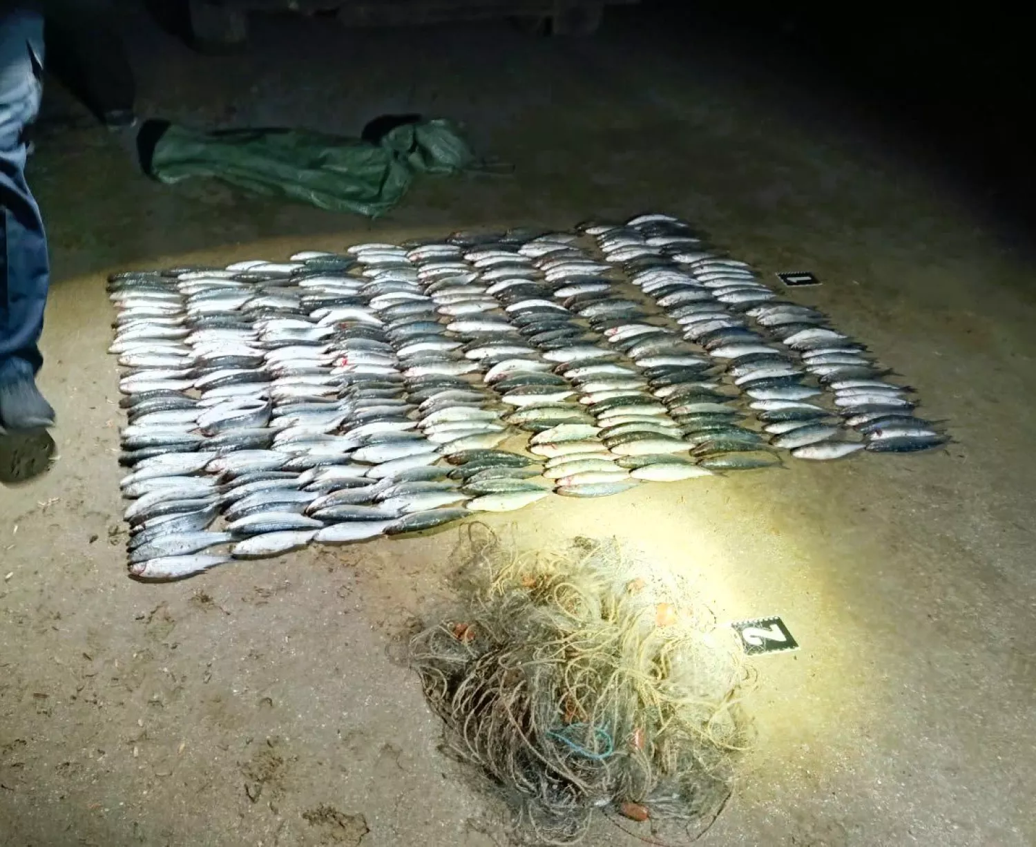На Одещині чоловік незаконно виловив риби на майже ₴6 млн. Фото: Держекоінспекція