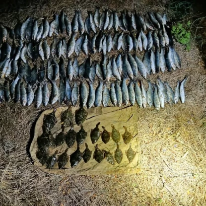 Незаконний вилов риби на озері Бурнас завдав збитків на понад ₴3 млн. Фото: Держекоінспекція