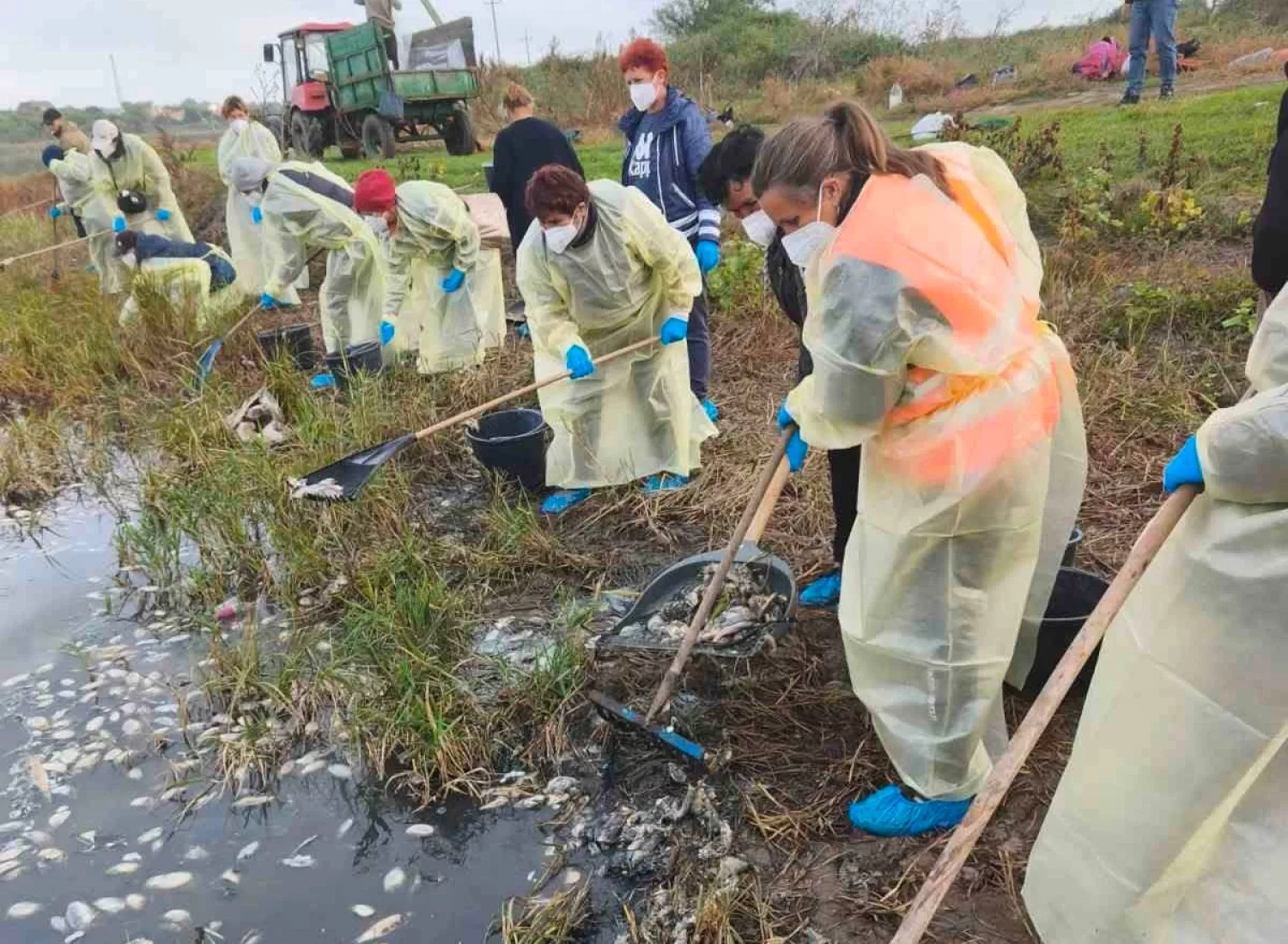У Новому Бузі мешканці скаржаться на мор риби та сморід зі ставка. Фото з Facebook