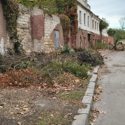 Купа листя та гілок станом на 25 вересня. Фото: МикВісті