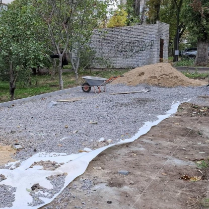 У Миколаєві зелену зону можуть перетворити на парковку, без дозволу спиляли 16 дерев. Фото: Держекоінспекція