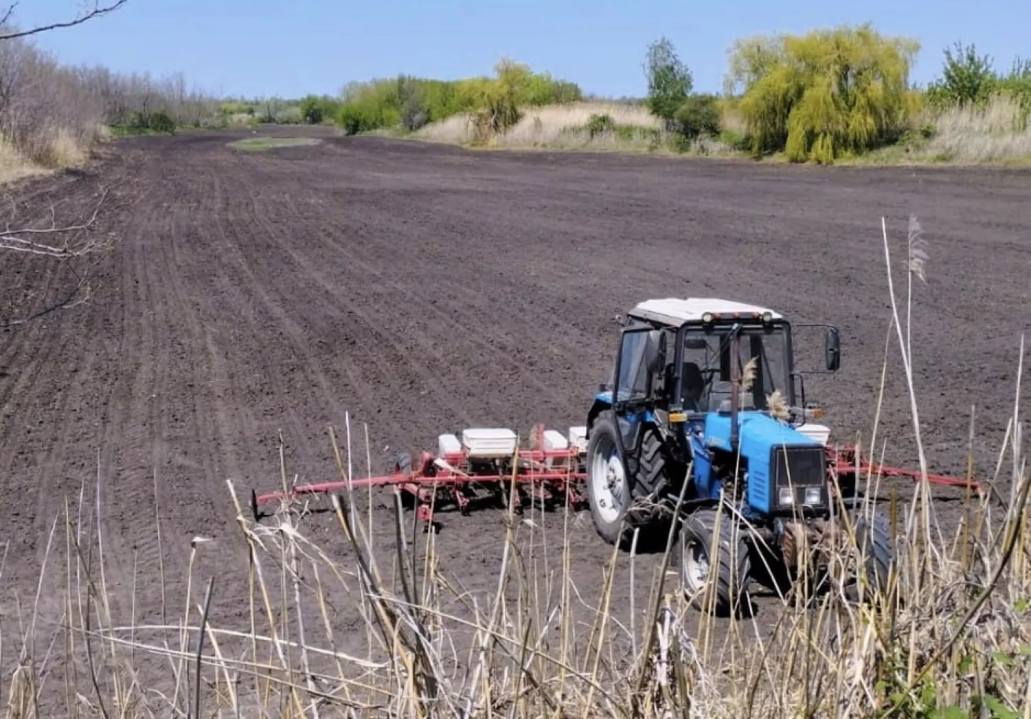 На Миколаївщині чоловік незаконно засіяв понад 2 гектари лісу. Ілюстративне фото: Держекоінспекція