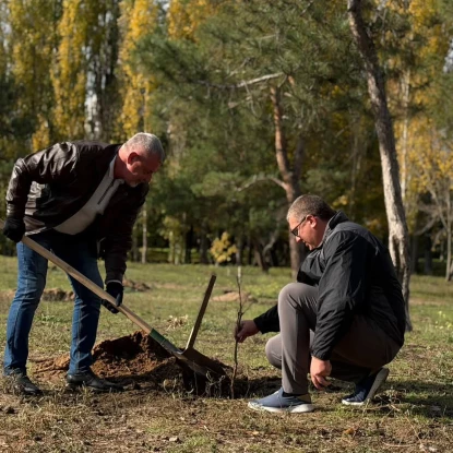 У Миколаєві висадили 32 дуби. Фото: Миколаївські парки