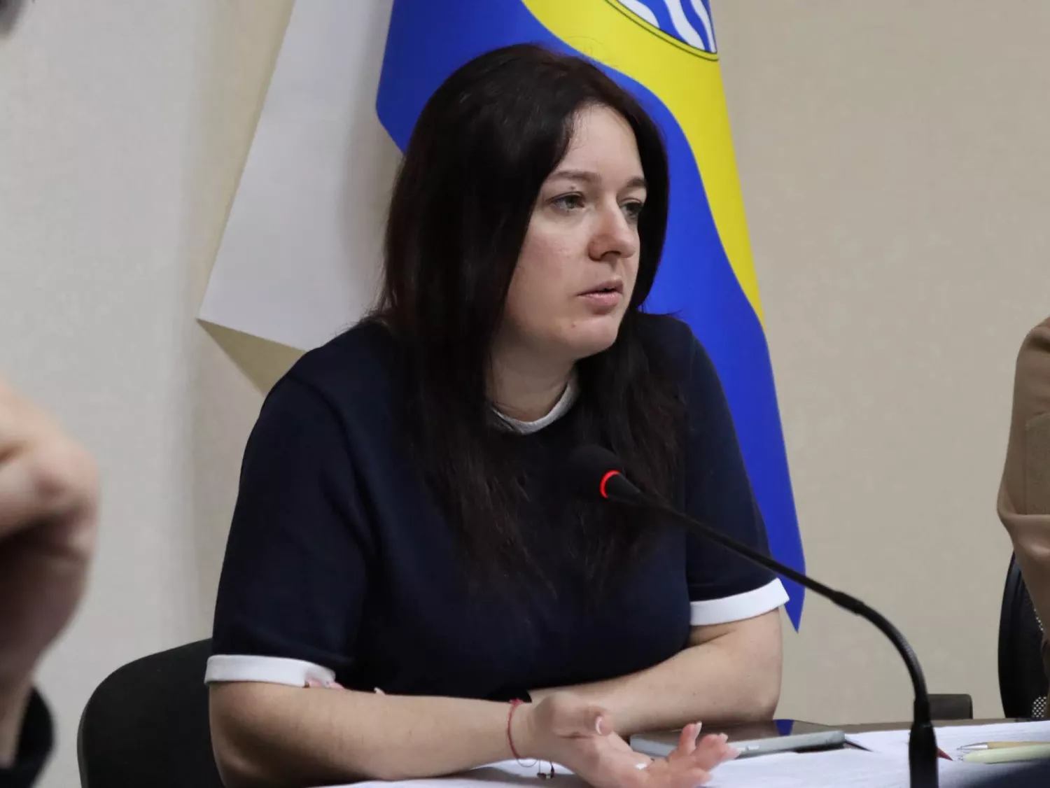 Засідання Ради ветеранів. Фото: Миколаївська обласна рада