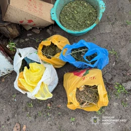 На Миколаївщині чоловіка підозрюють у зберіганні понад 4 кг канабісу. Фото: Нацполіція Миколаївщини