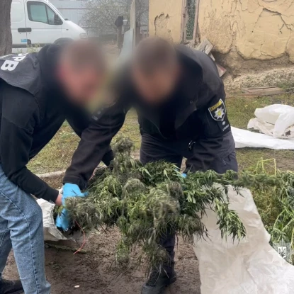 На Одещині у чоловіка знайшли майже 20 кг канабісу. Фото: Нацполіція