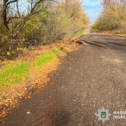 У Баштанському районі перекинувся кросовер. Фото: Нацполіція