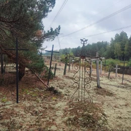 Дослідники знайшли у Чорнобильському заповіднику дуби діаметром близько 500 см. Фото: Біосферний заповідник «Асканія-Нова»