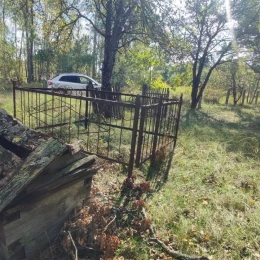 Дослідники знайшли у Чорнобильському заповіднику дуби діаметром близько 500 см. Фото: Біосферний заповідник «Асканія-Нова»