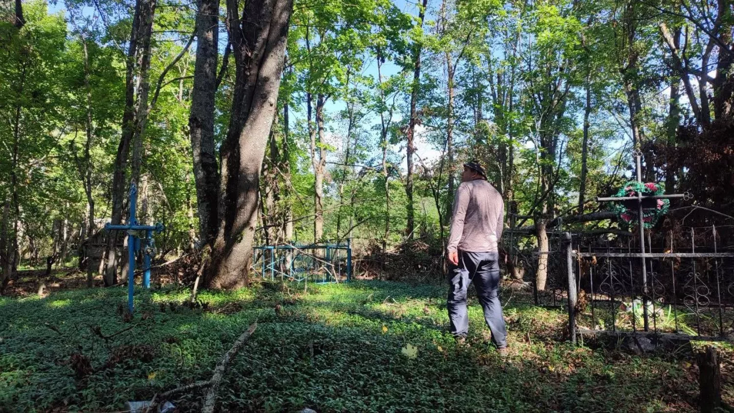 Дослідники знайшли у Чорнобильському заповіднику дуби діаметром близько 500 см. Фото: Біосферний заповідник «Асканія-Нова»