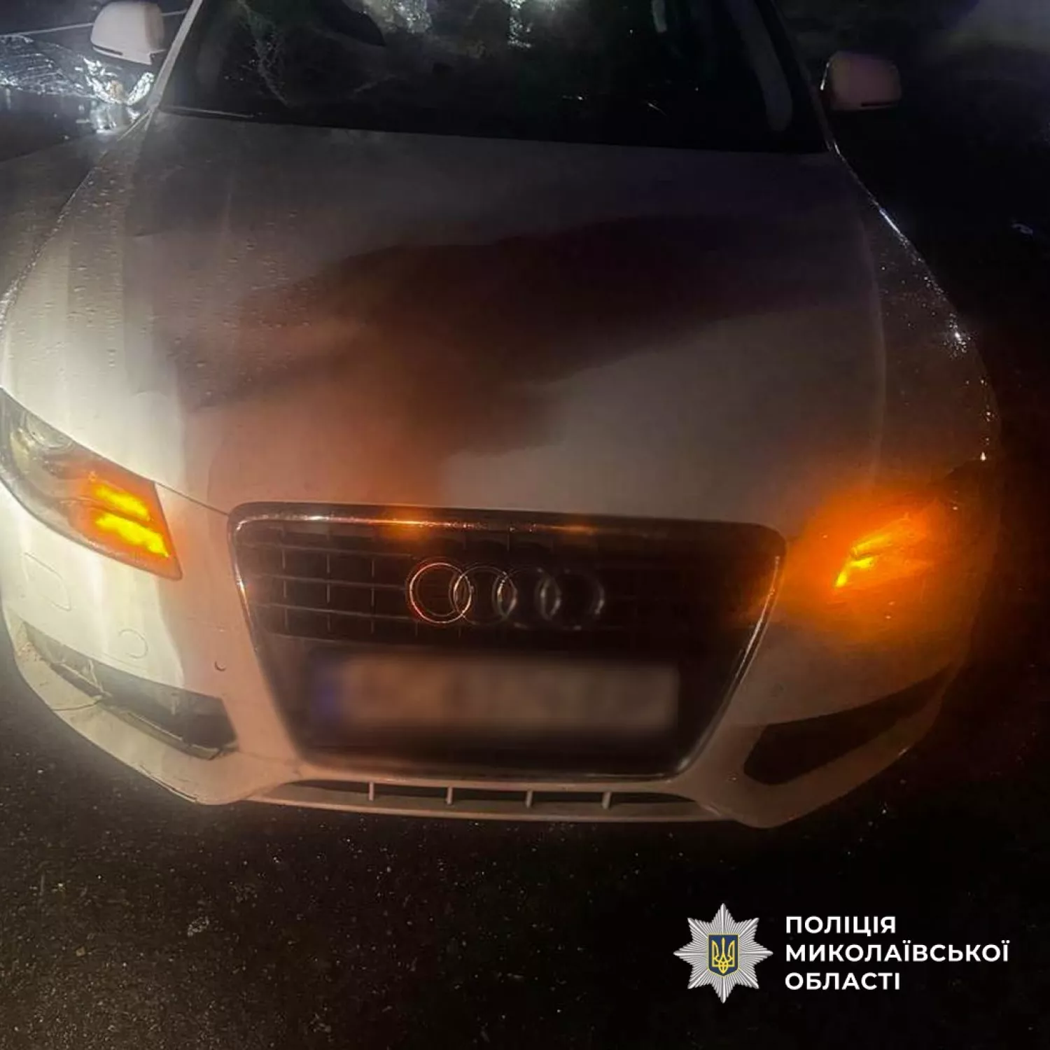 Місце смертельної ДТП поблизу селища Зайчівське на Миколаївщині, 30 жовтня 2026 року. Фото поліції Миколаївської області
