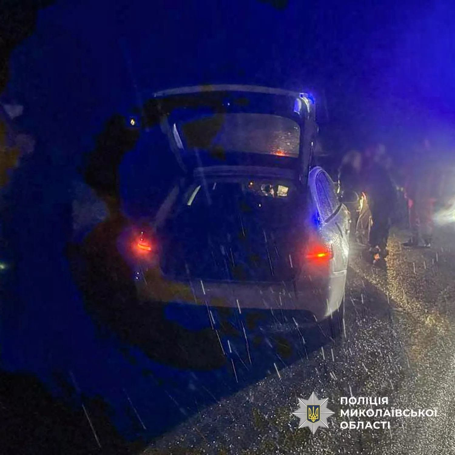 Місце смертельної ДТП поблизу селища Зайчівське на Миколаївщині, 30 жовтня 2026 року. Фото поліції Миколаївської області