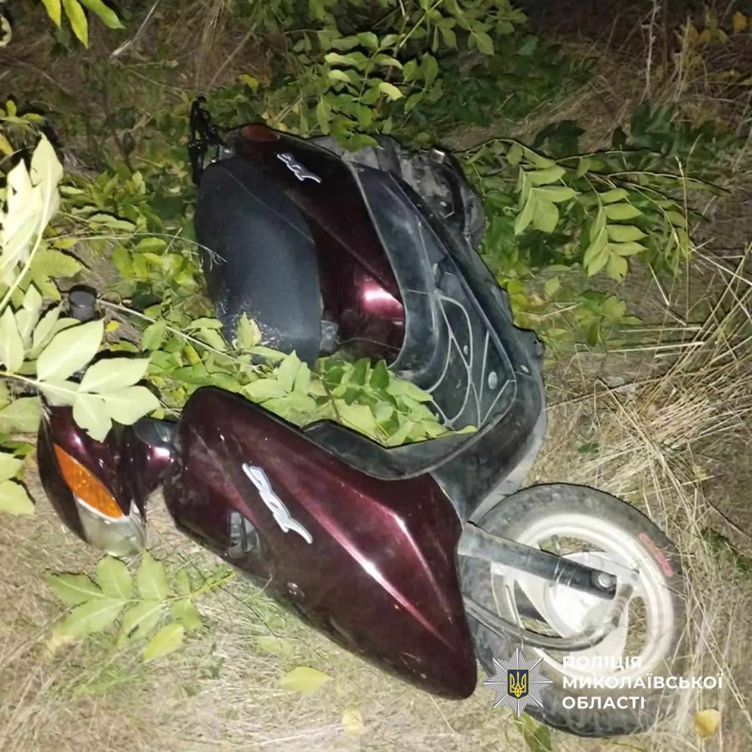 На Миколаївщині 20-річний водій мопеда потрапив у ДТП. Фото: поліція Миколаївщини