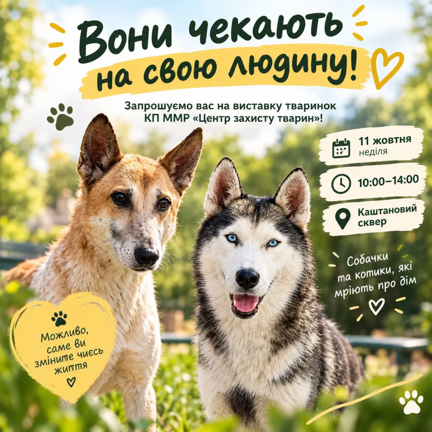 Фото: «Центр захисту тварин»