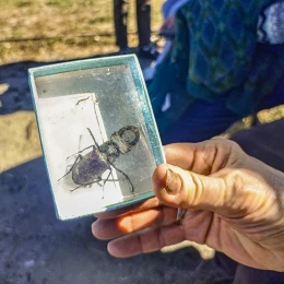 У Миколаєві відтворили природничу екскурсію понад столітньої давнини. Фото: Галина Сеннікова, МикВісті