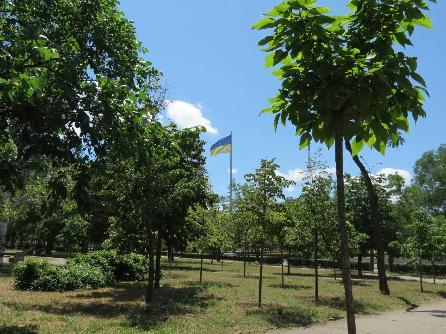 Сквер «Юних героїв» у Миколаєві. Фото: Миколаївські парки