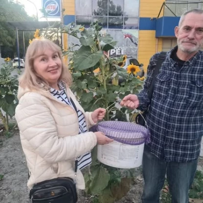 Двох черепах із Херсонського краєзнавчого музею перевезли до Миколаєва. Фото: Херсонський обласний краєзнавчий музей